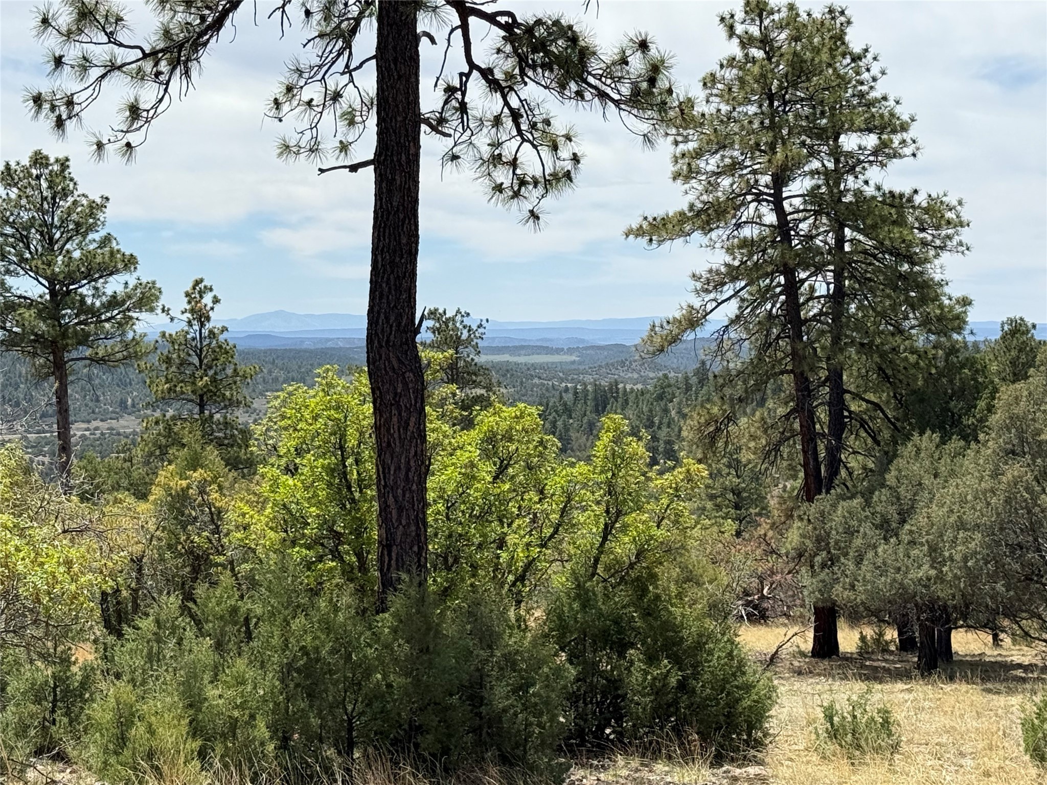 33 Buck Dr Dr, Los Ojos, New Mexico image 5