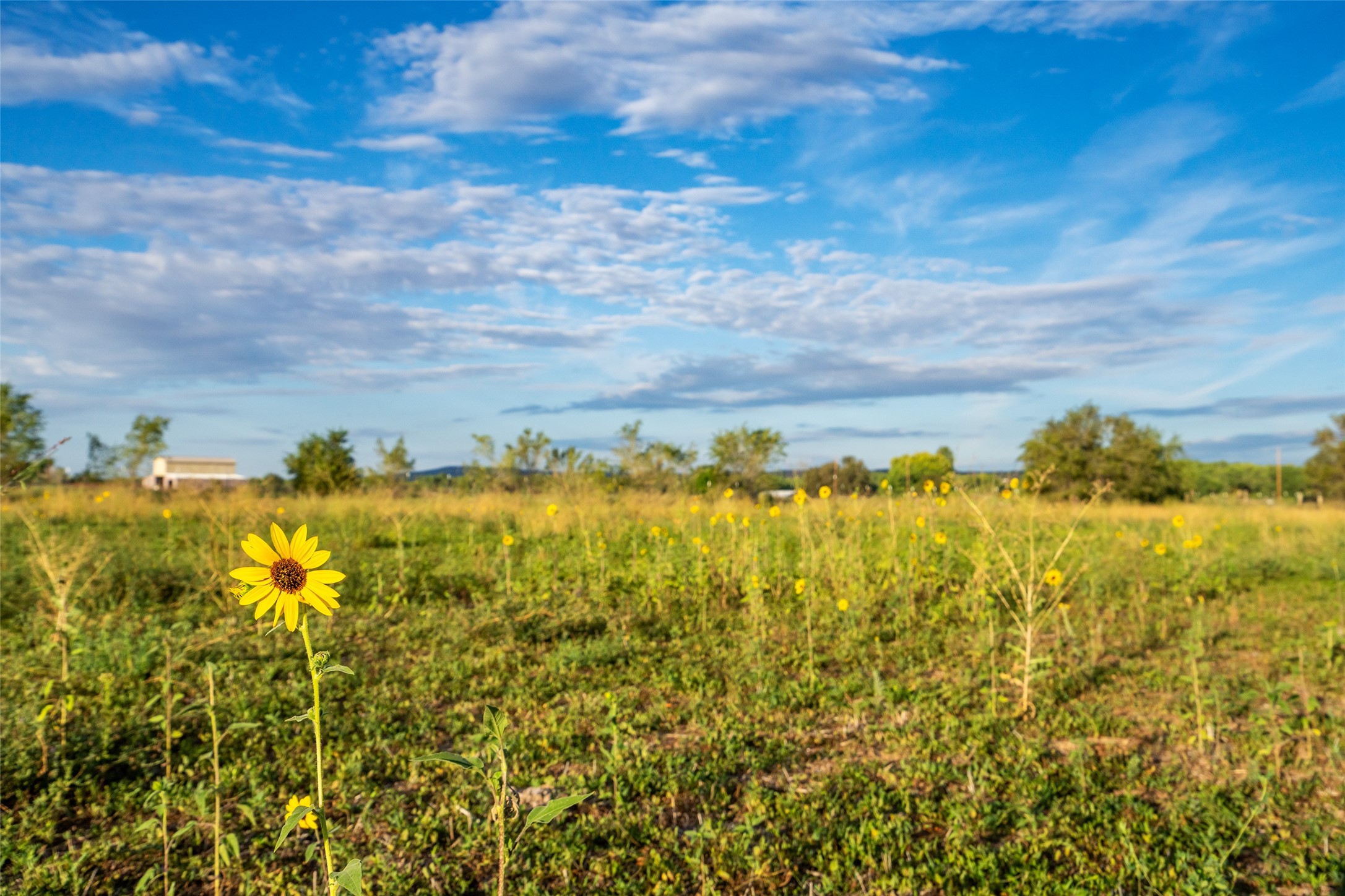Pena Blanca, New Mexico 87041, United States, 1 Bedroom Bedrooms, ,1 BathroomBathrooms,Residential,Active,207944