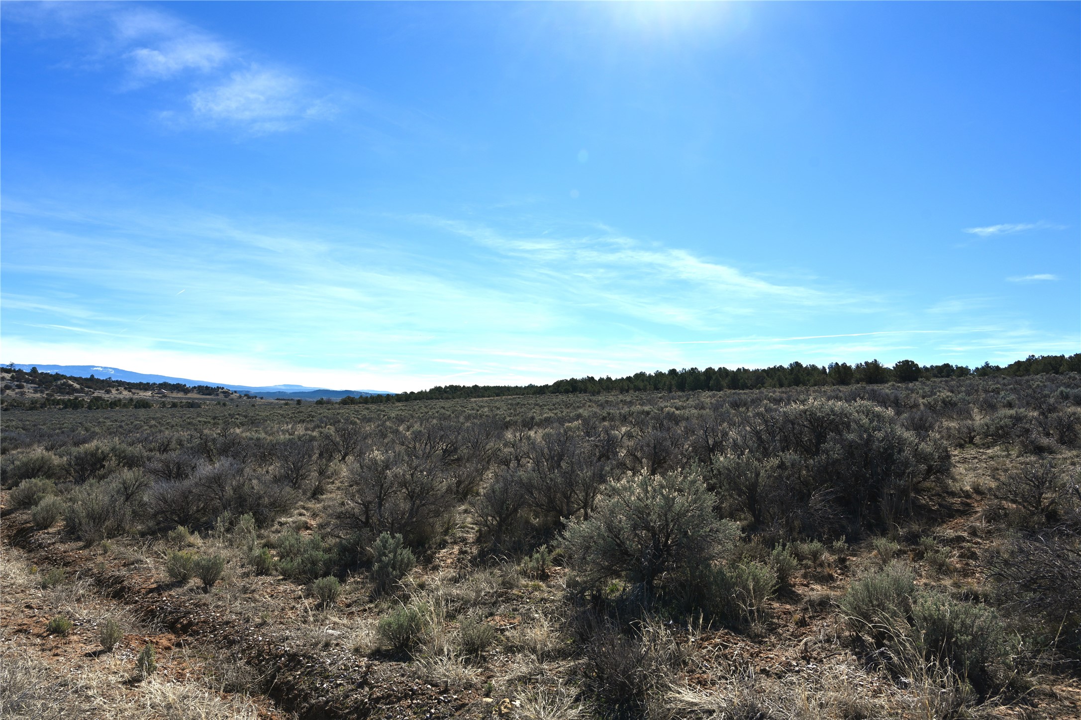 Photo 1 of 32 — 00 Pajarito 10 tr 242 & 243, Tierra Amarilla, NM 87575