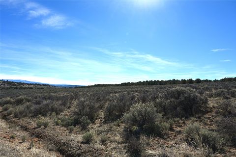 Vacant Land For Sale - 00 Pajarito #10 TR 242  243<br/> Rio Arriba County, Tierra Amarilla, NM 87575