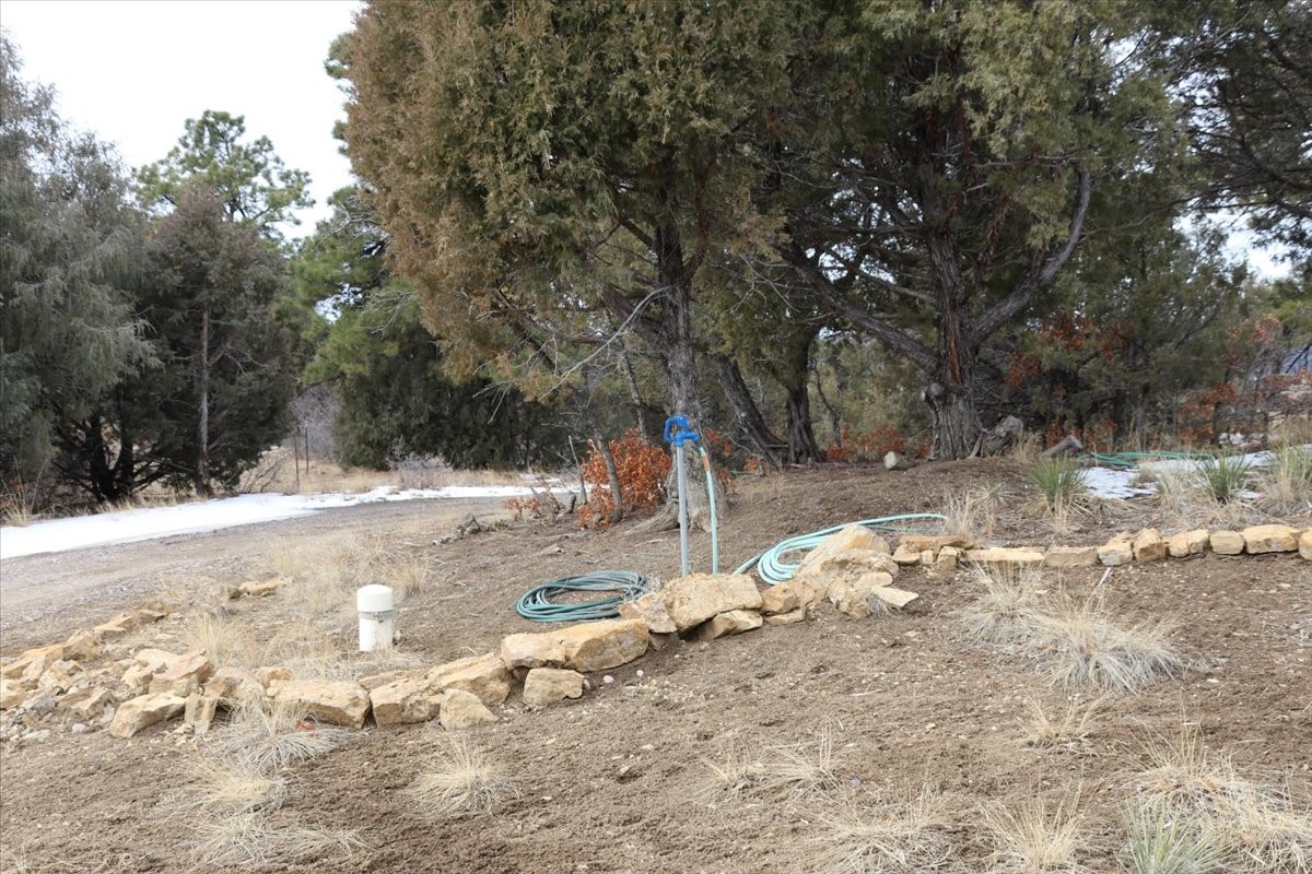 12 Horn Toad Ln, Chama, New Mexico image 46
