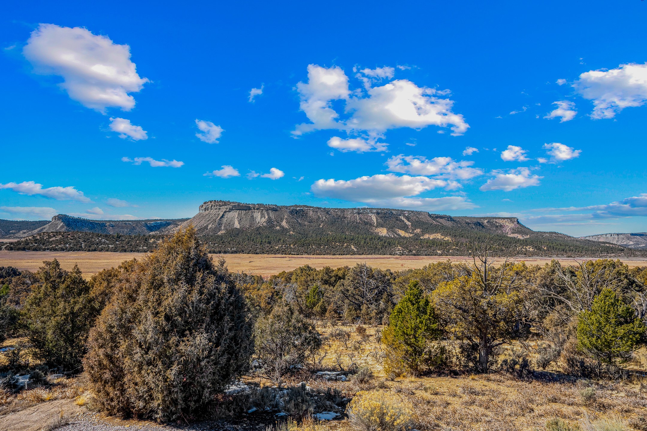 Los Ojos, New Mexico 87551, United States, 4 Bedrooms Bedrooms, ,3 BathroomsBathrooms,Residential,Active,89015