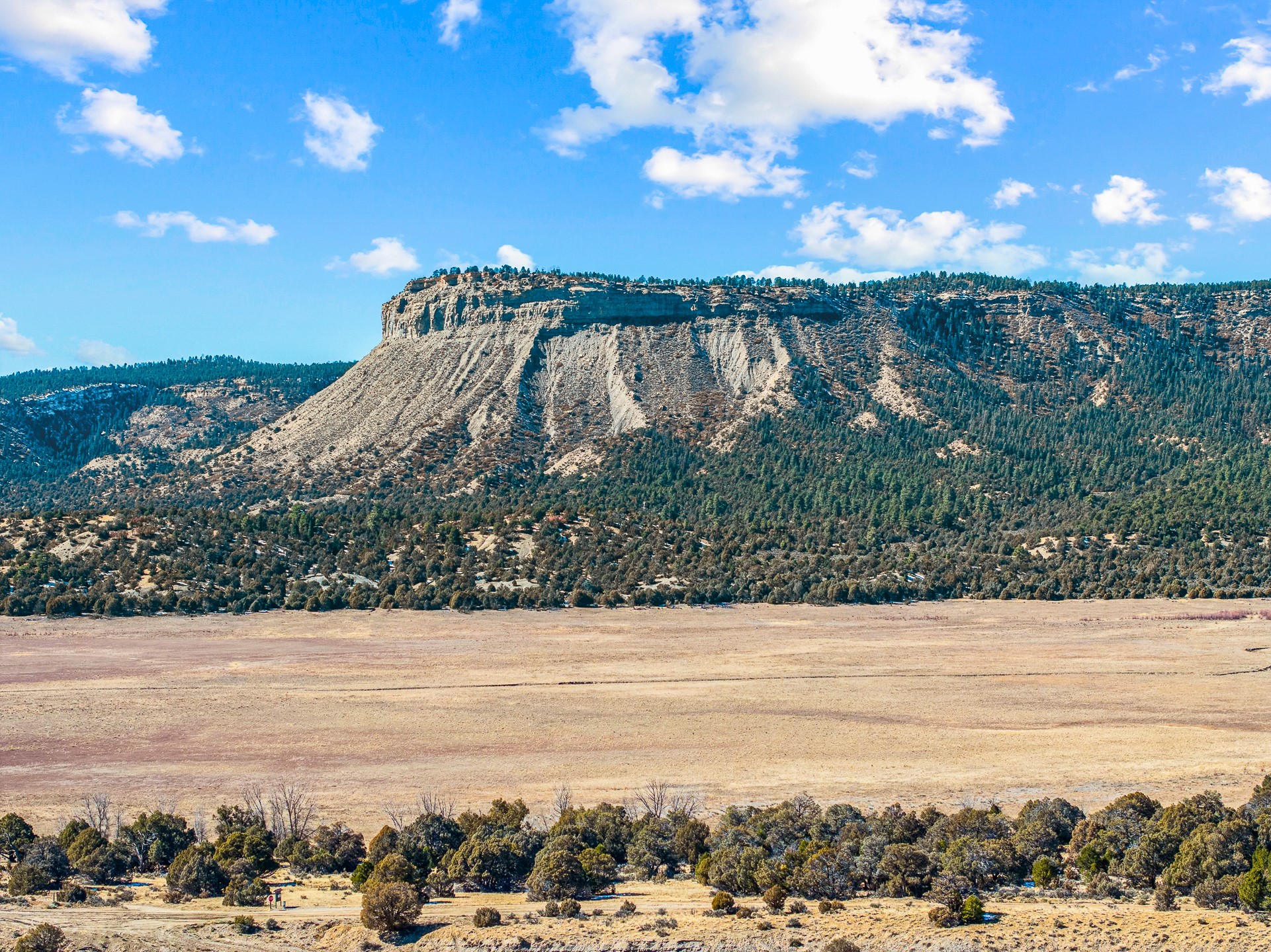Los Ojos, New Mexico 87551, United States, 4 Bedrooms Bedrooms, ,3 BathroomsBathrooms,Residential,Active,89015