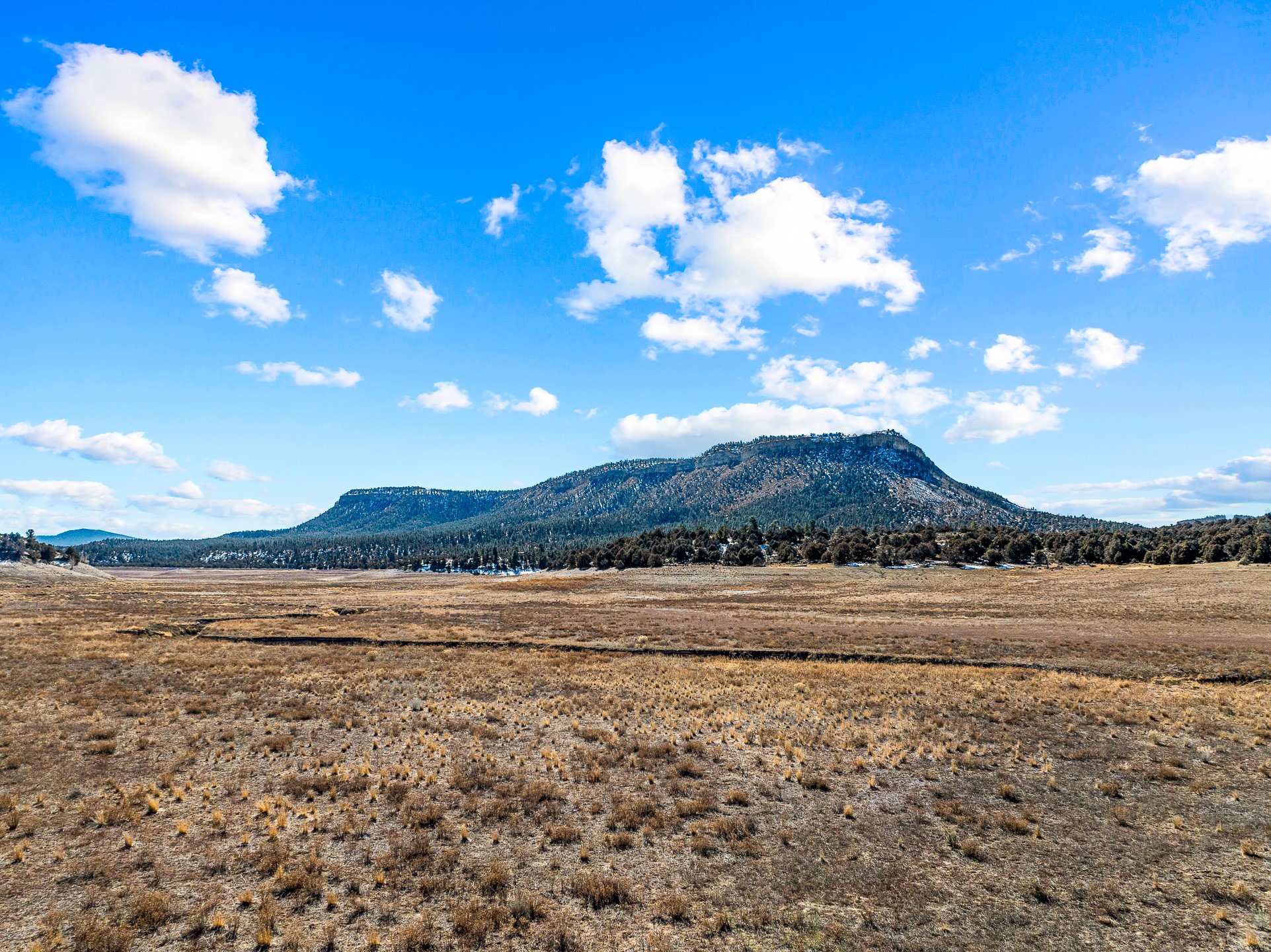 Los Ojos, New Mexico 87551, United States, 4 Bedrooms Bedrooms, ,3 BathroomsBathrooms,Residential,Active,89015