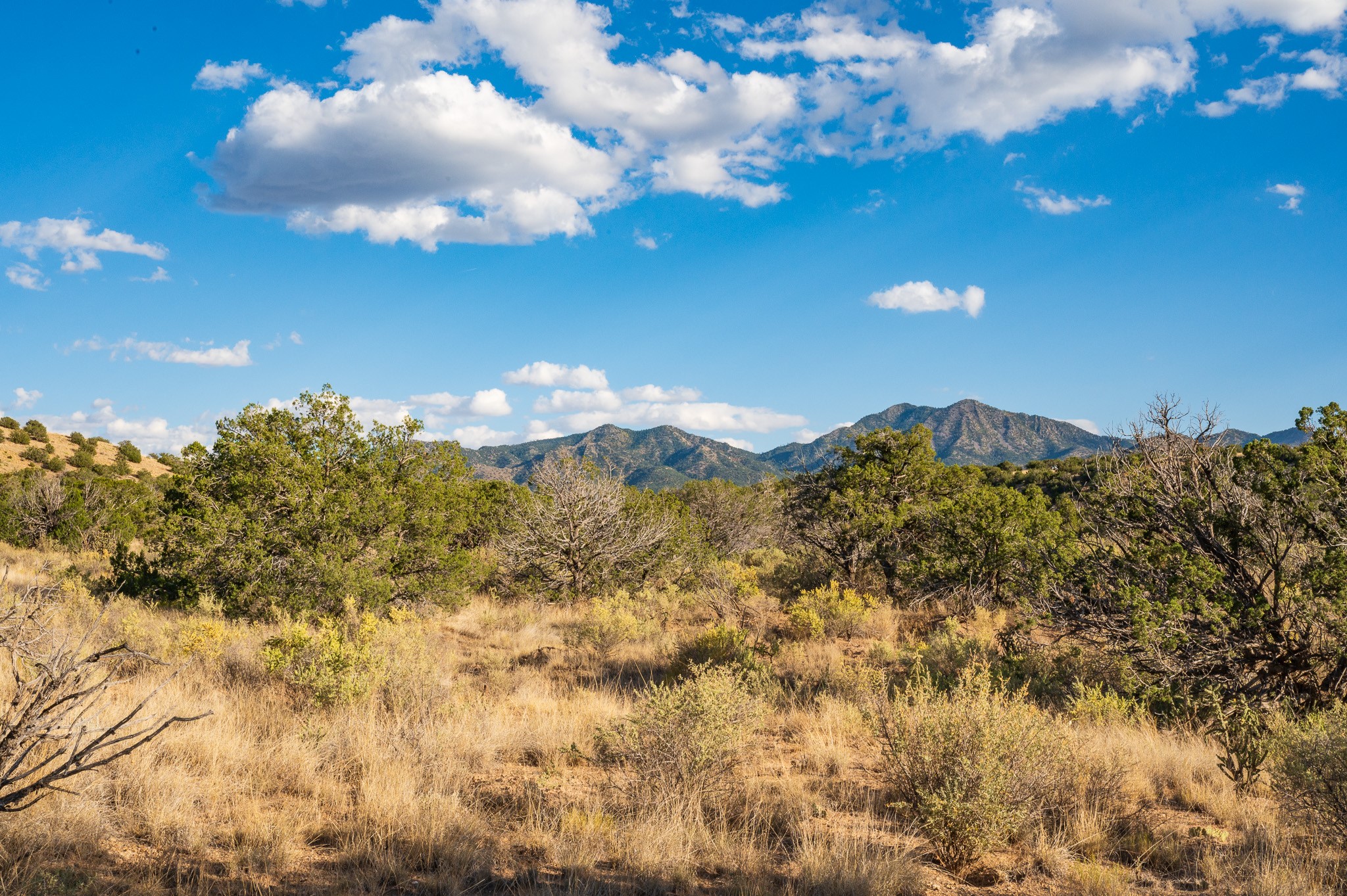 125 Paseo Sudeste, Cerrillos, New Mexico image 11