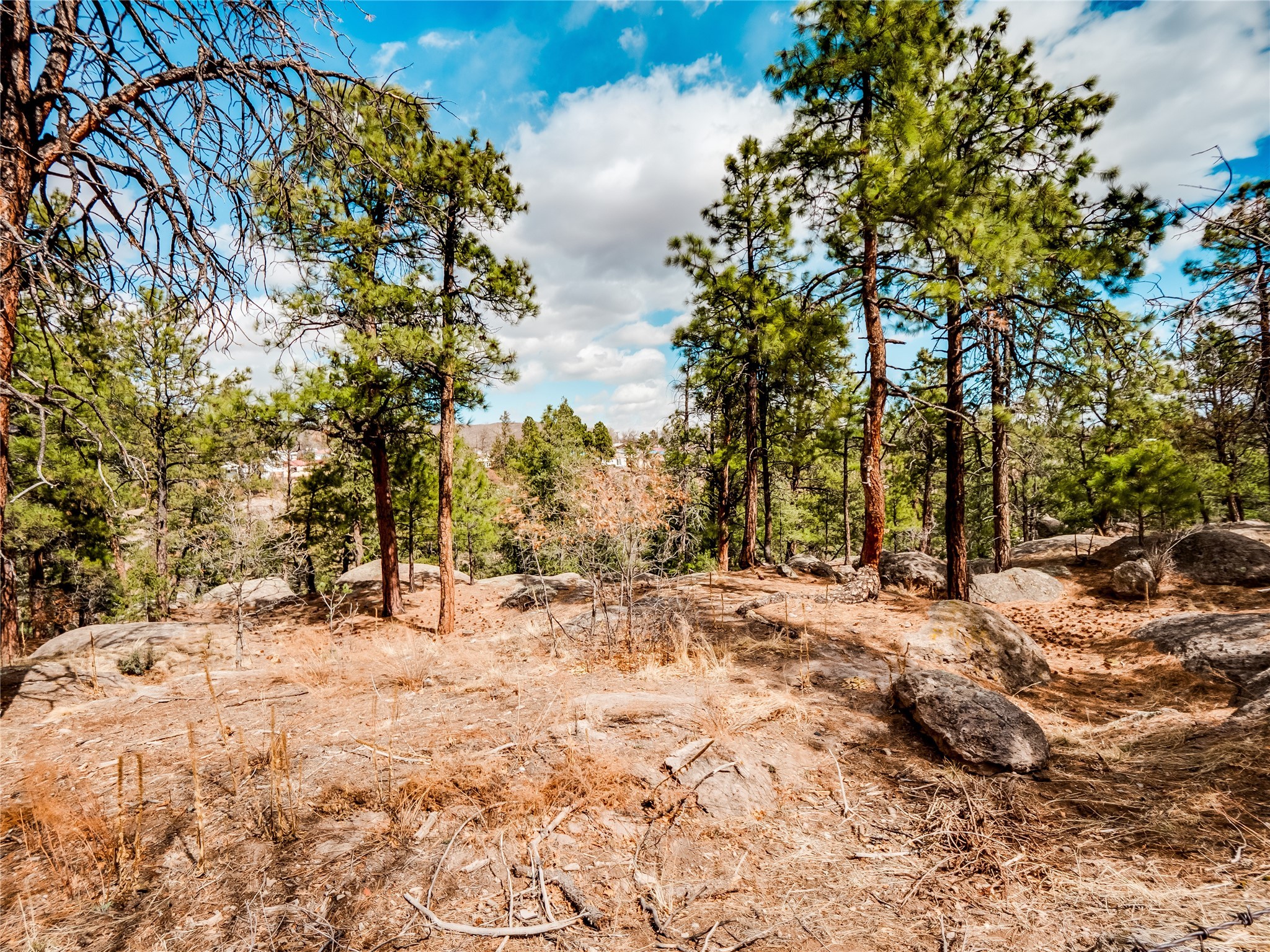 3406 Orange Street #A, Los Alamos, New Mexico image 48
