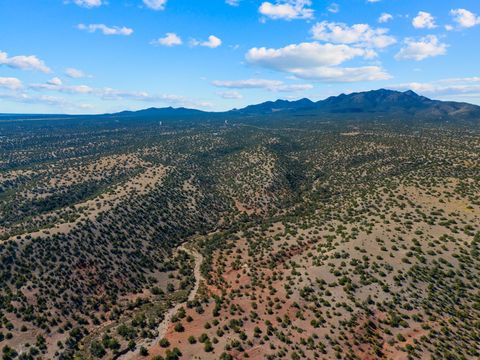Tiny photo for 7 Rancho De Shama #C, Cerrillos, NM 87010 (MLS # 202504402)