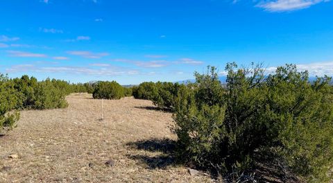 Tiny photo for 7 Rancho De Shama #C, Cerrillos, NM 87010 (MLS # 202504402)