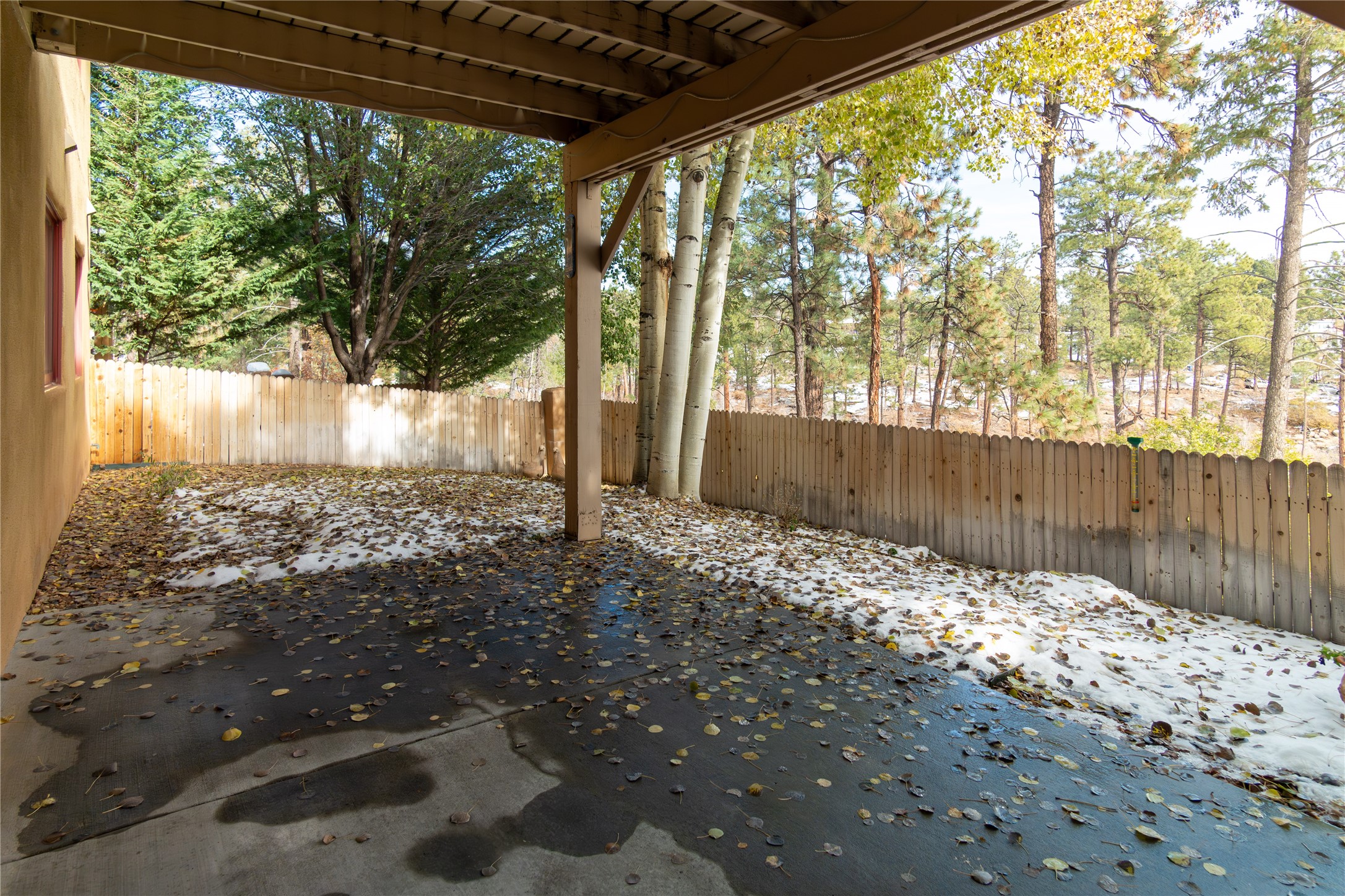 1988 Elderberry St, Los Alamos, New Mexico image 47