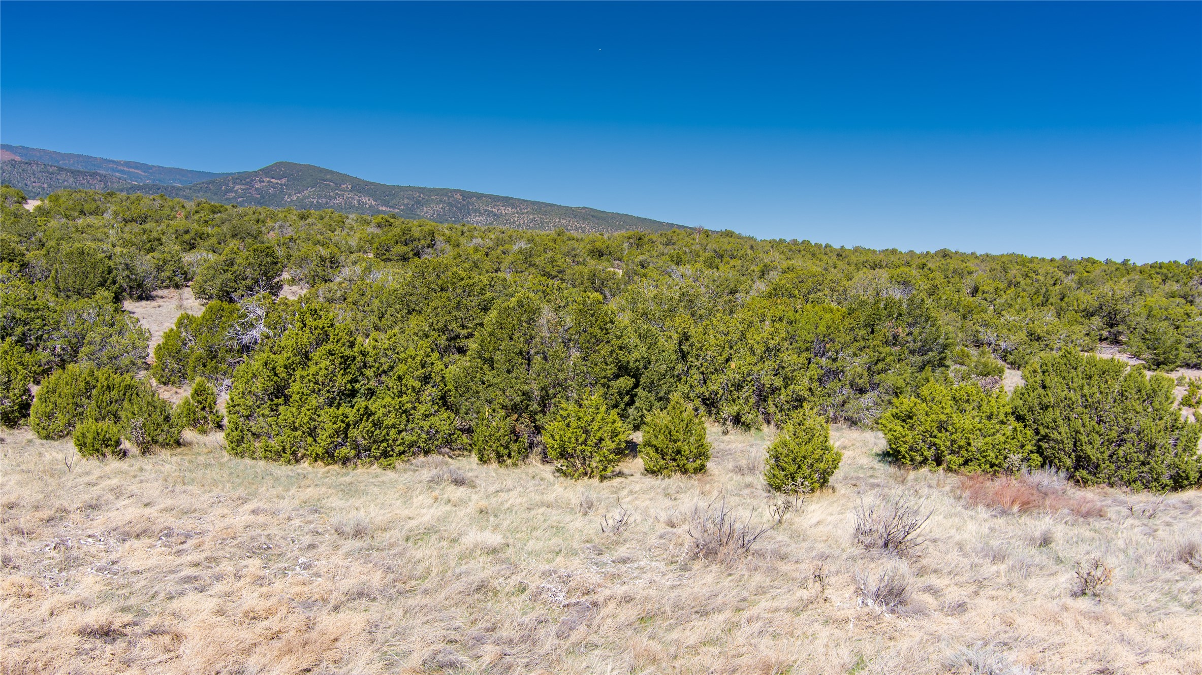23 Canon Escondido, Sandia Park, New Mexico image 23