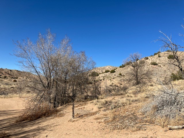 238 Nm 76, Santa Cruz, New Mexico image 42