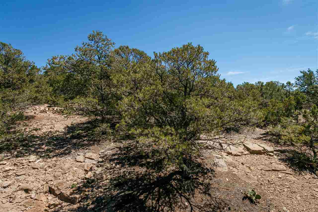 2059 Cerros Altos, Santa Fe, New Mexico image 17