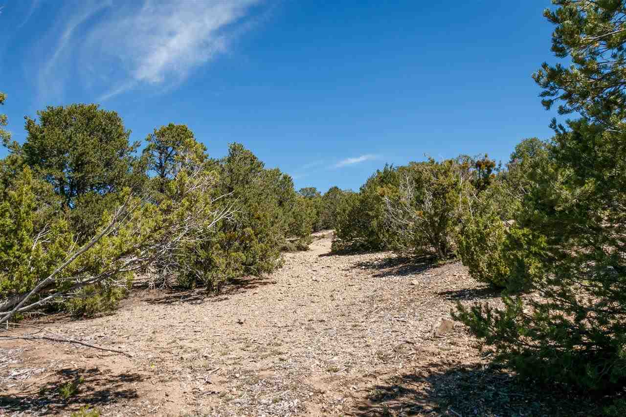 2059 Cerros Altos, Santa Fe, New Mexico image 15