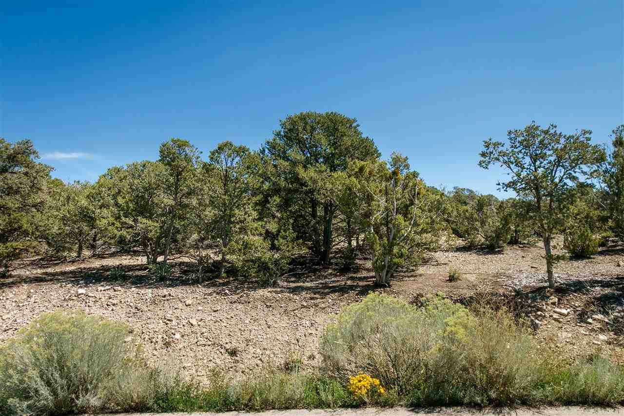 2059 Cerros Altos, Santa Fe, New Mexico image 14