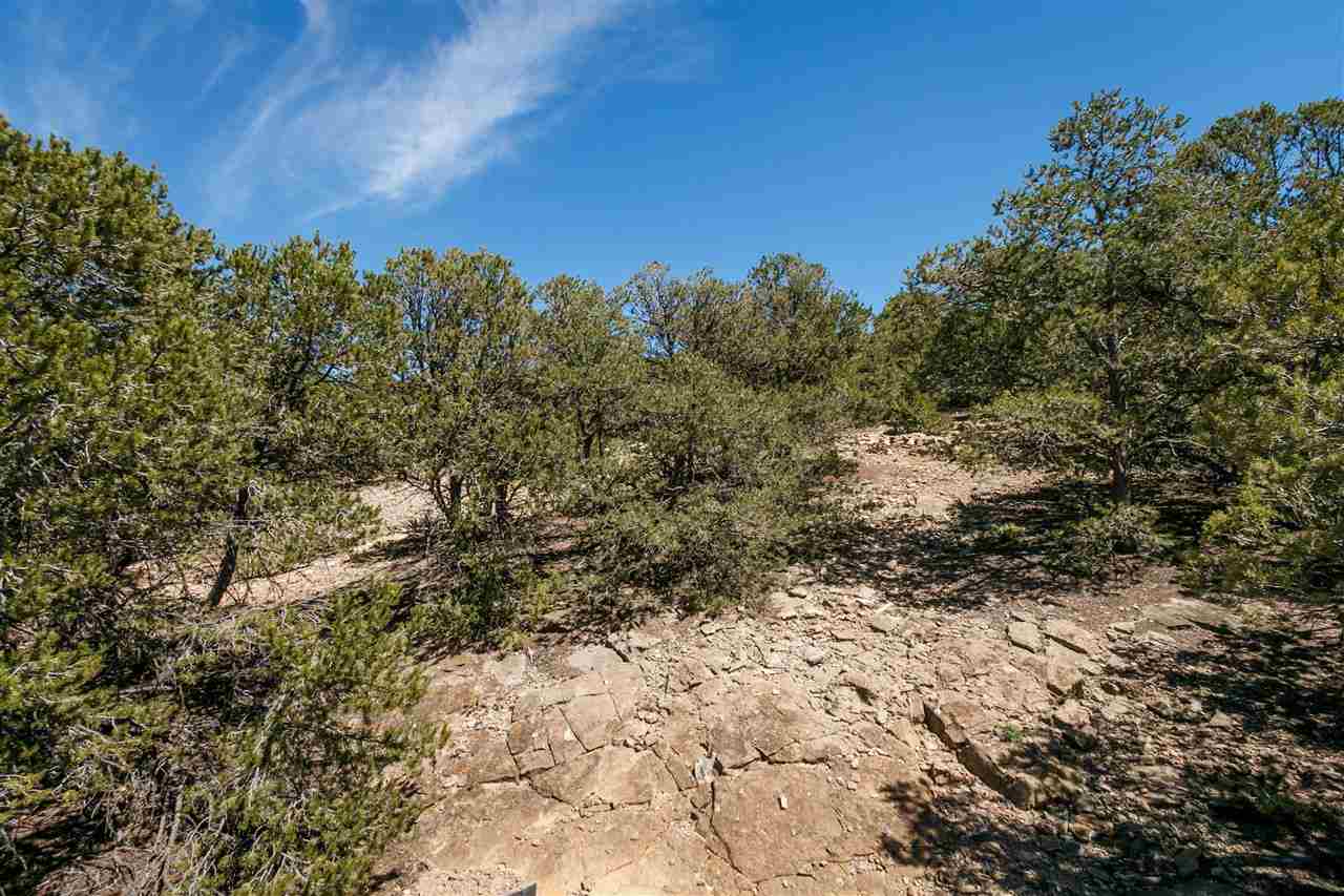 2059 Cerros Altos, Santa Fe, New Mexico image 16