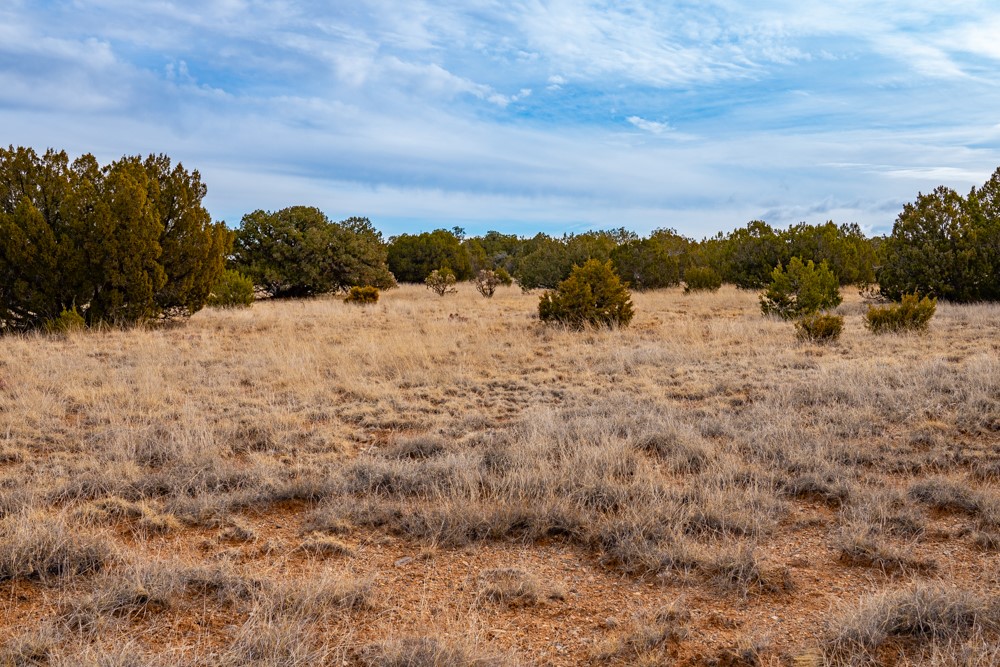 TBD Three Sisters, Cerrillos, New Mexico image 17