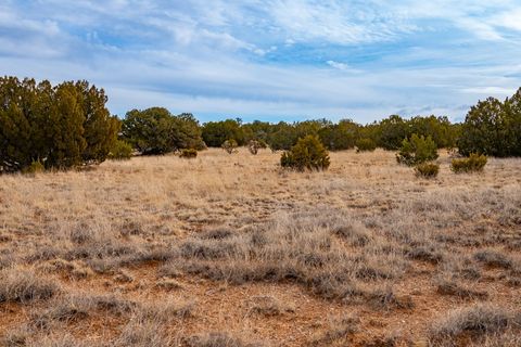 Tiny photo for TBD Three Sisters, Cerrillos, NM 87010 (MLS # 202342069)