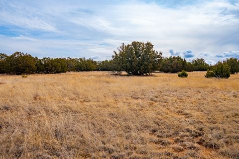 Tiny photo for TBD Three Sisters, Cerrillos, NM 87010 (MLS # 202342069)