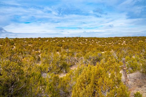 Tiny photo for TBD Three Sisters, Cerrillos, NM 87010 (MLS # 202342069)