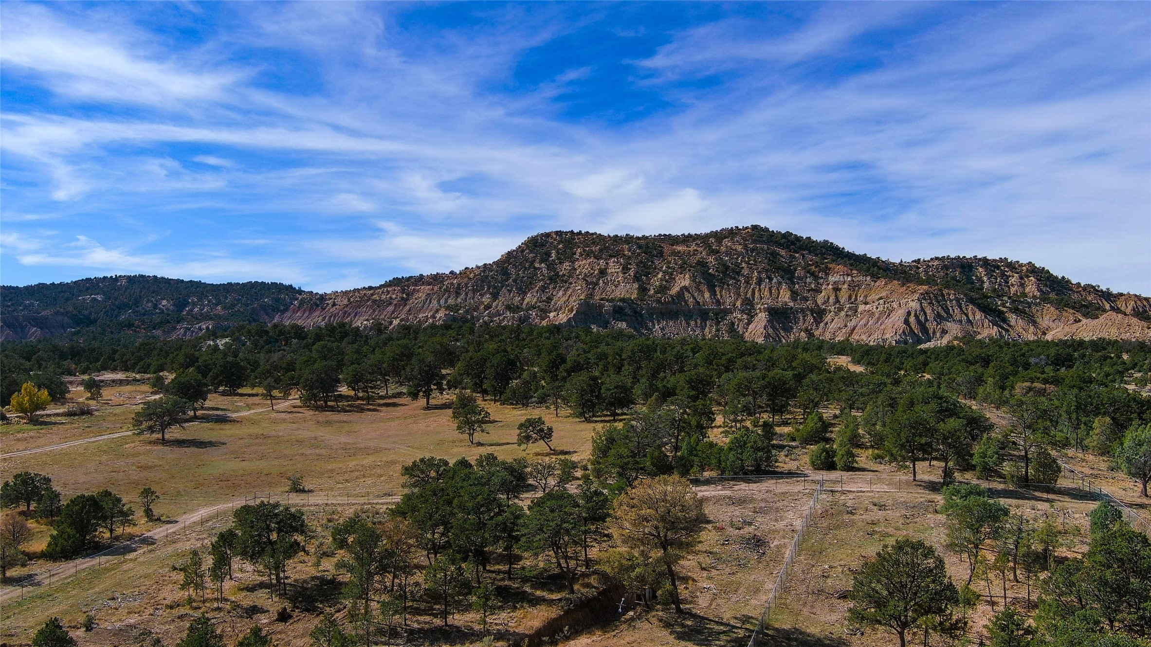 1177 State Highway 96, Regina, New Mexico image 38