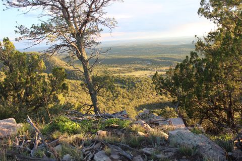 Vacant Land For Sale - 139 Apache Mesa Road<br/> Las Vegas, NM 87701