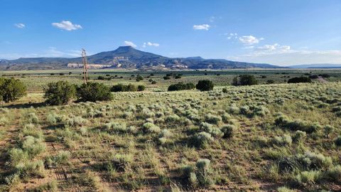 Vacant Land For Sale - 23B/24 Private Drive 1725<br/> Abiquiu, NM 87510