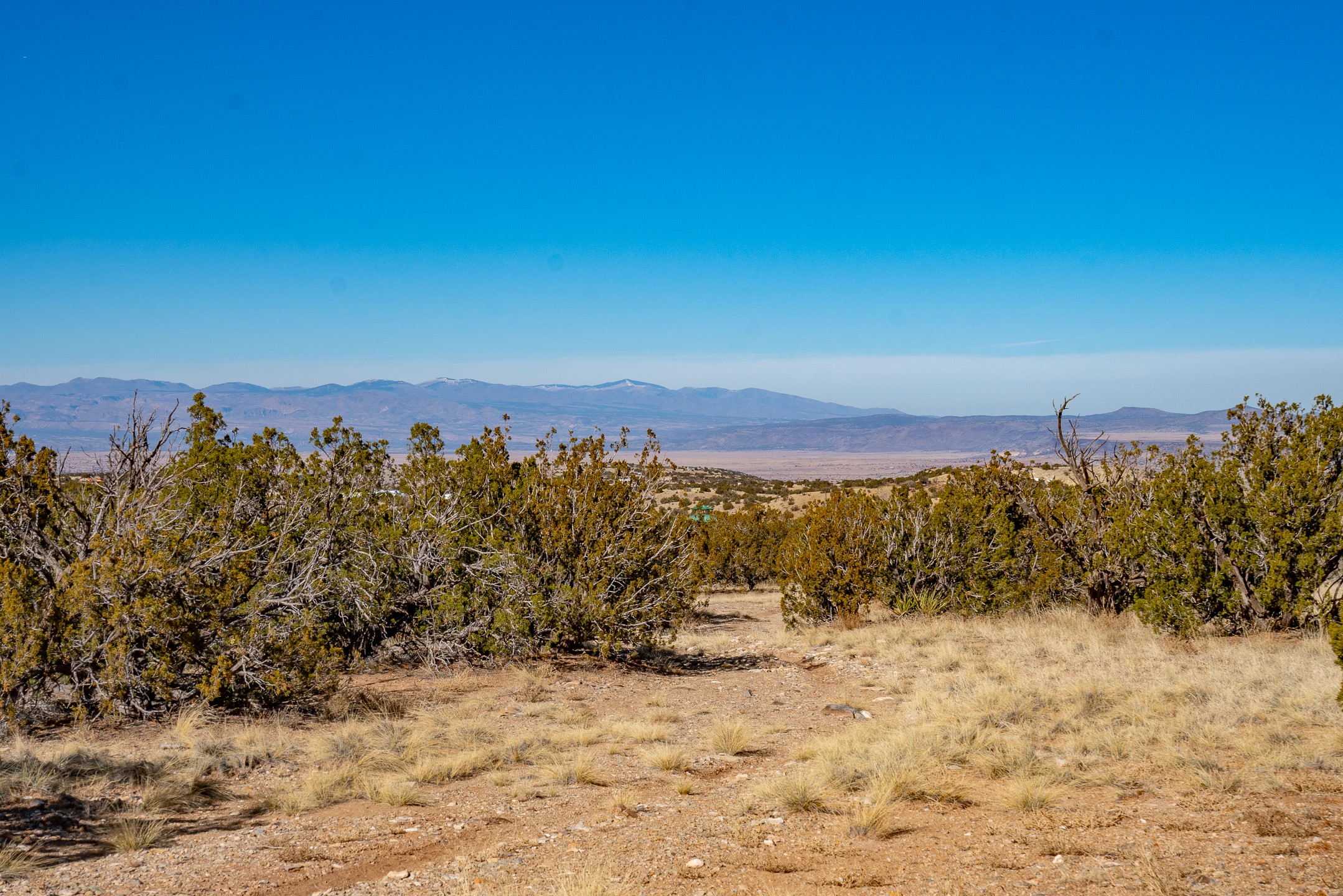 107 Sendero De Toho, Madrid, New Mexico image 10