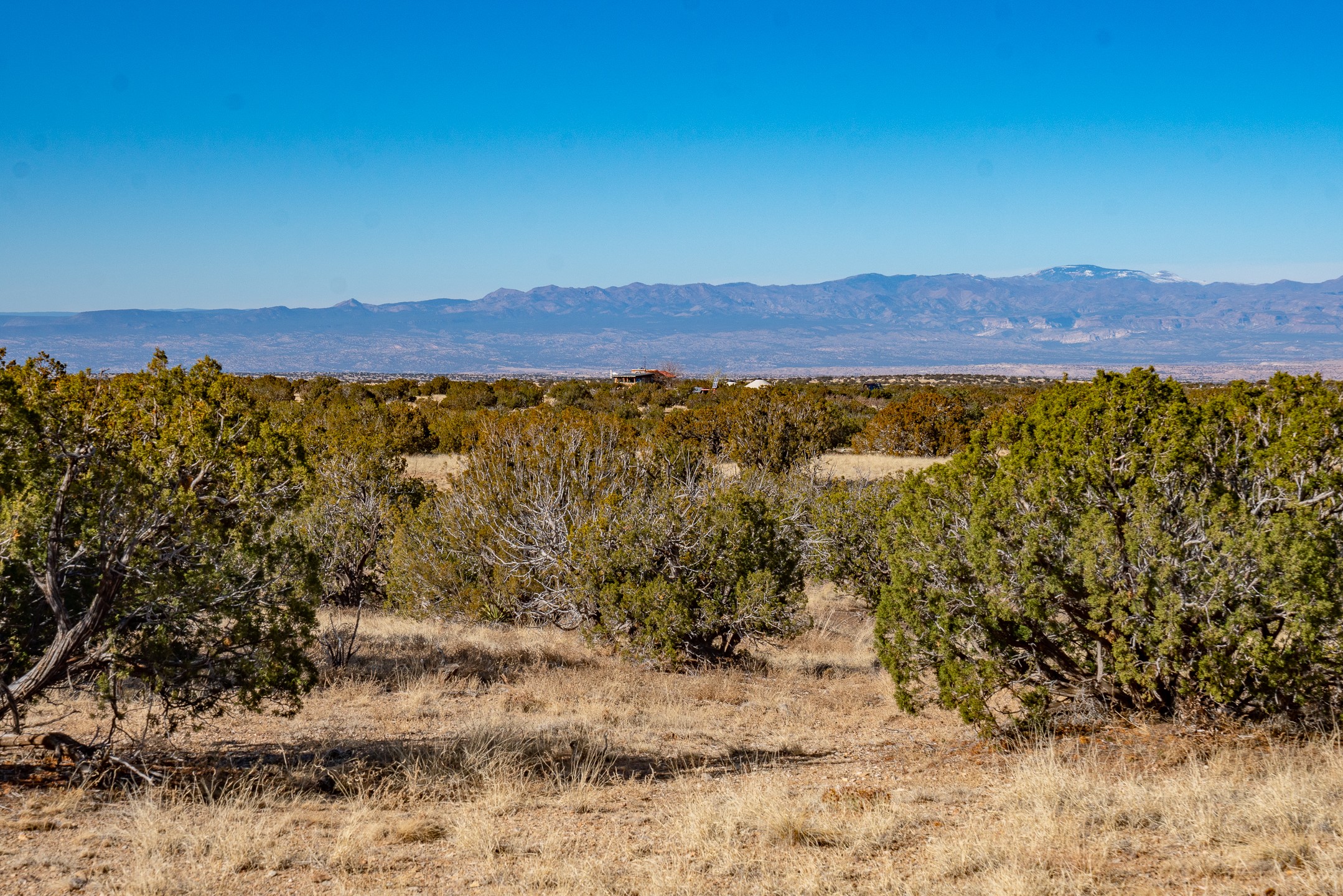 107 Sendero De Toho, Madrid, New Mexico image 6