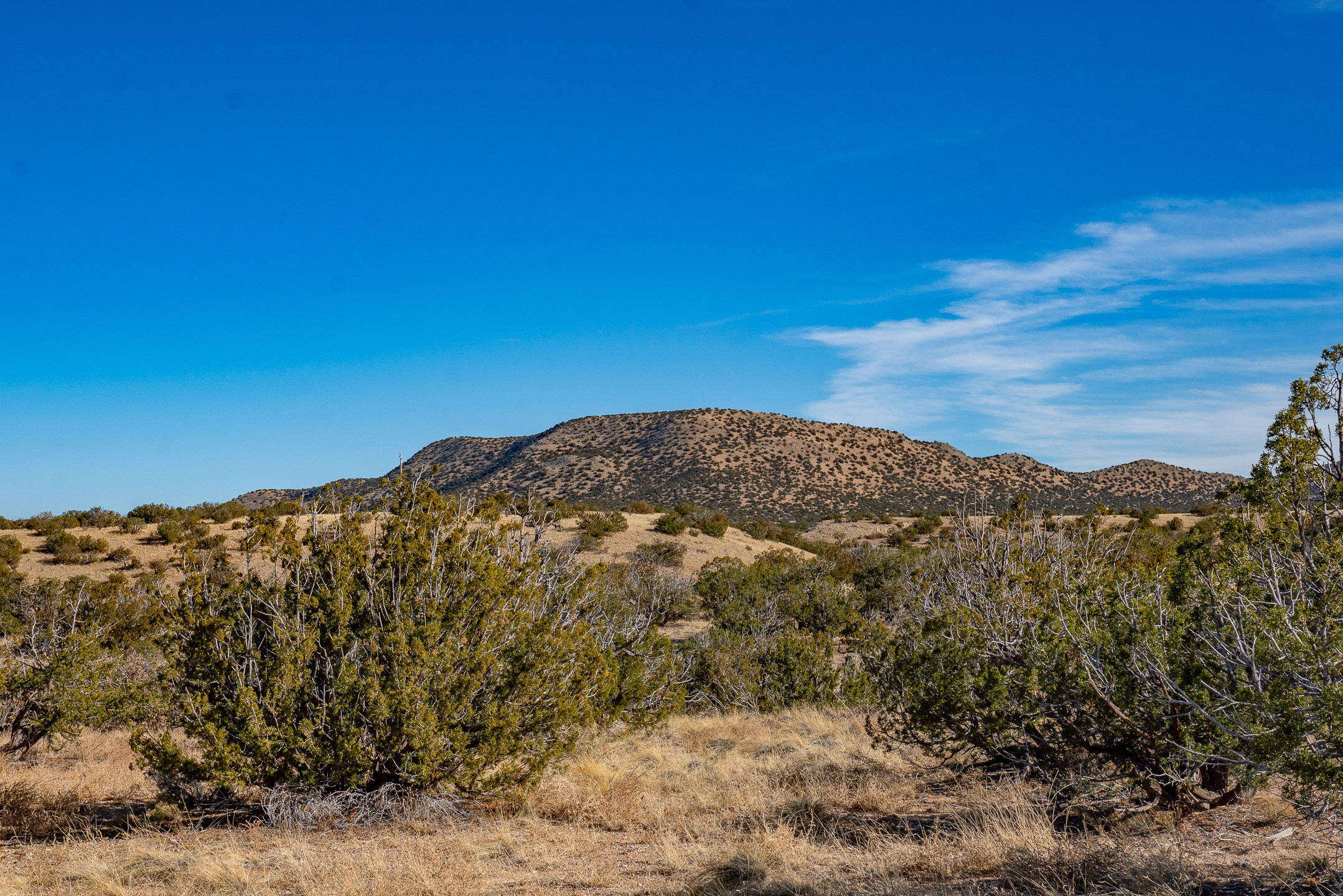 107 Sendero De Toho, Madrid, New Mexico image 4