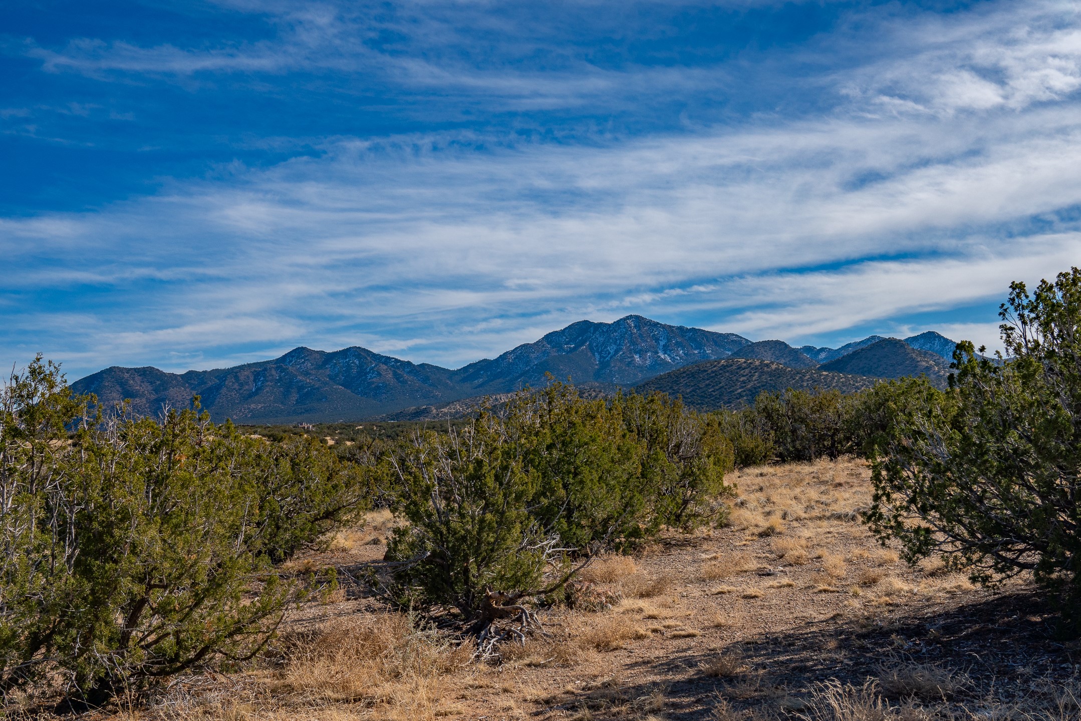 107 Sendero De Toho, Madrid, New Mexico image 3