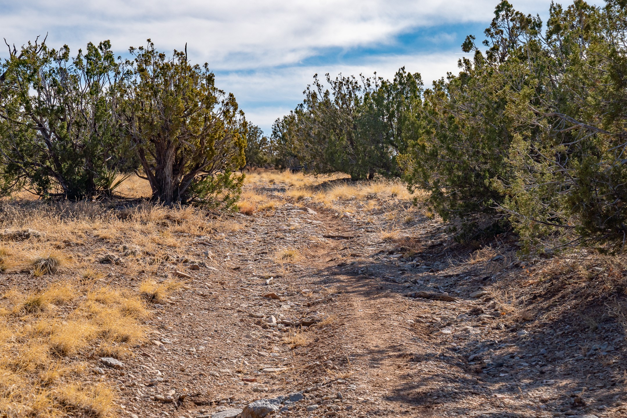 107 Sendero De Toho, Madrid, New Mexico image 8