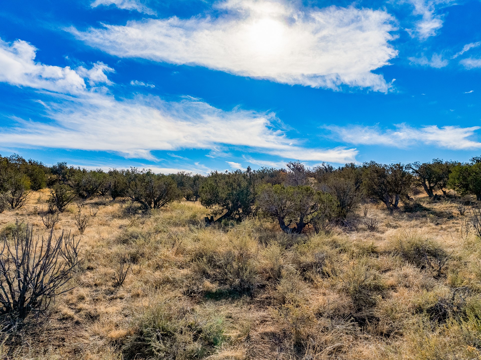 107 Sendero De Toho, Madrid, New Mexico image 11