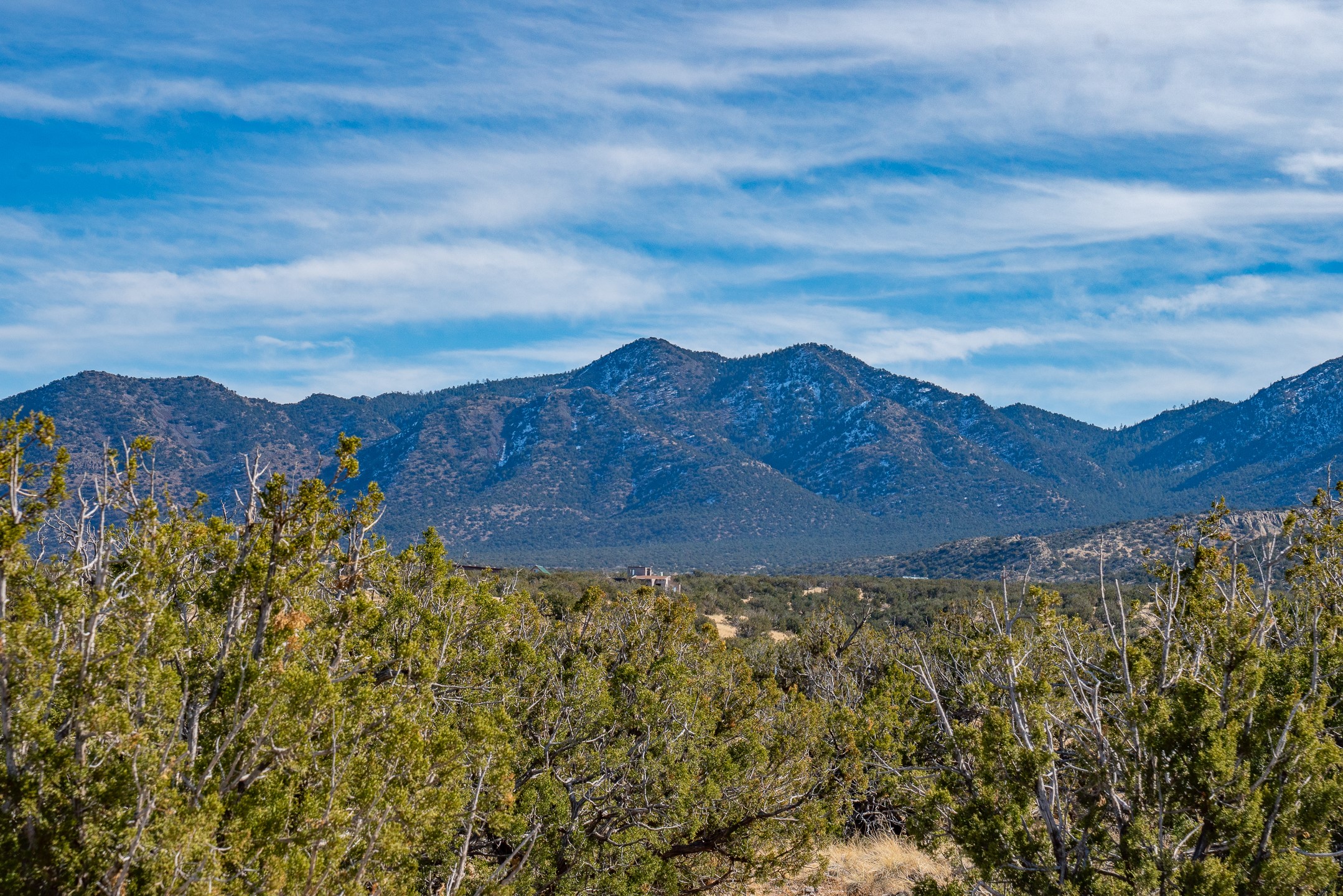 107 Sendero De Toho, Madrid, New Mexico image 2