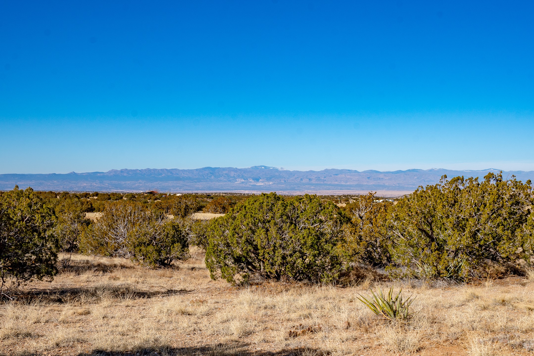 107 Sendero De Toho, Madrid, New Mexico image 9