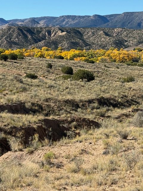 Vacant Land For Sale - TBD Duane Street<br/> Abiquiu, NM 87510