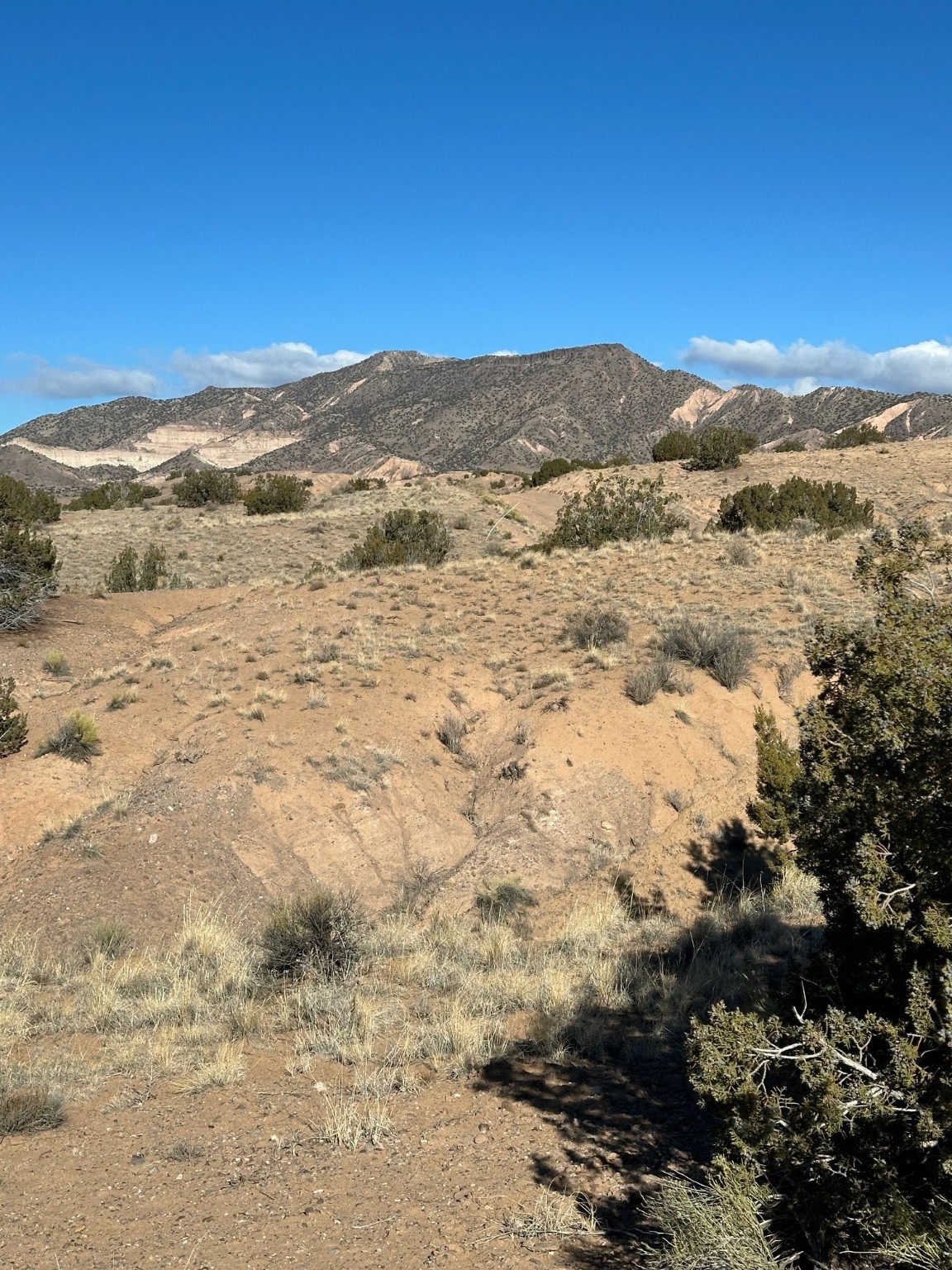 TBD Duane Street, Abiquiu, New Mexico image 18