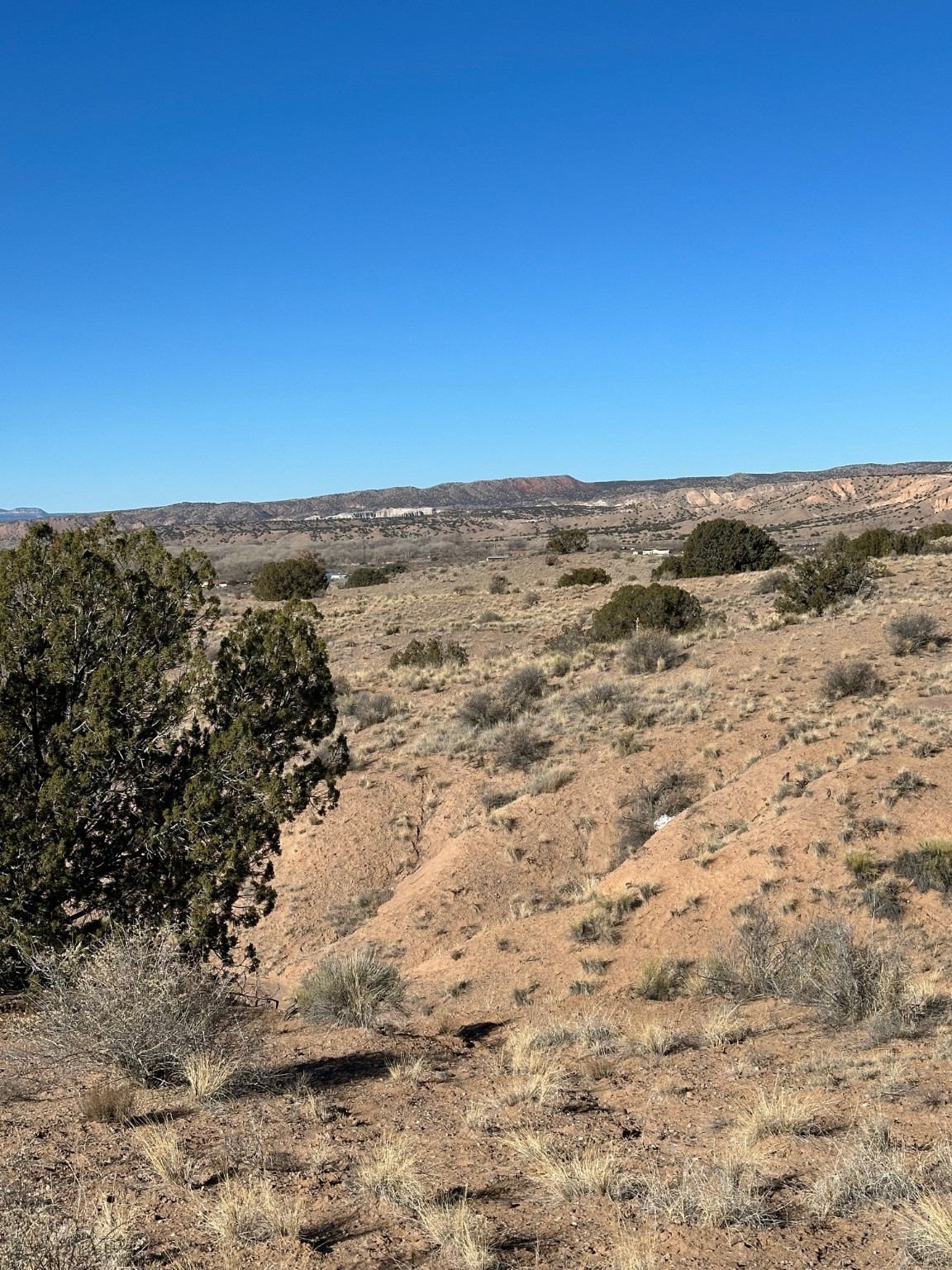 TBD Duane Street, Abiquiu, New Mexico image 21