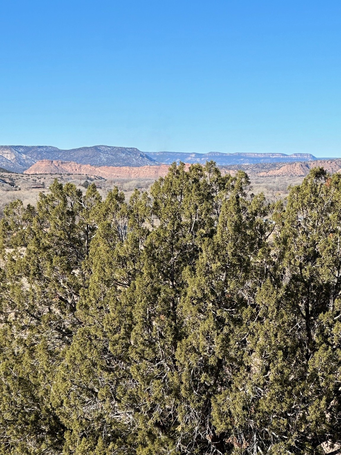 TBD Duane Street, Abiquiu, New Mexico image 22