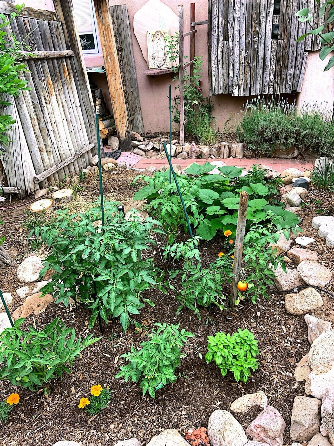 220 Irvine St #B, Santa Fe, New Mexico image 22