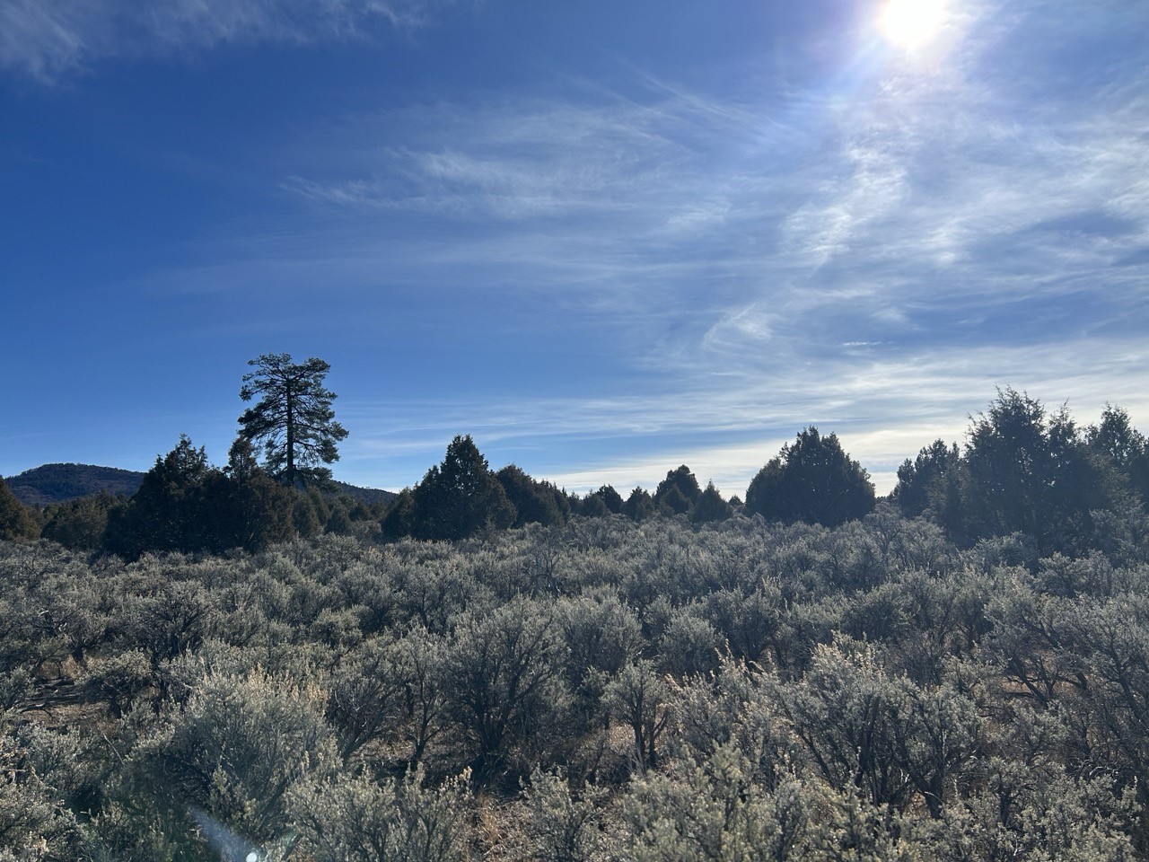 TBD 3 Lots 1 Acre Chama River Estates, Tierra Amarilla, New Mexico image 4