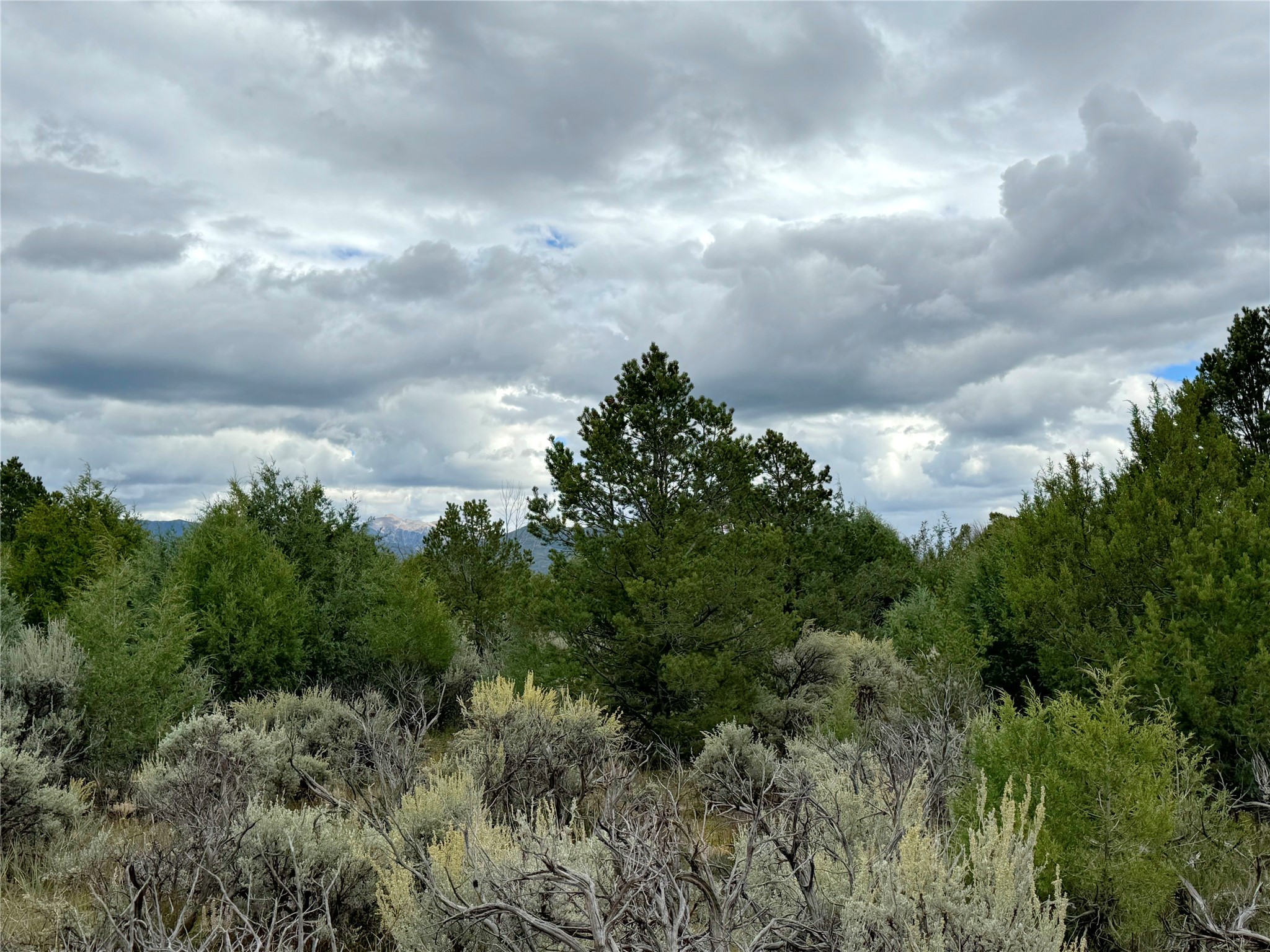 414 County Road 77, Truchas, New Mexico image 3