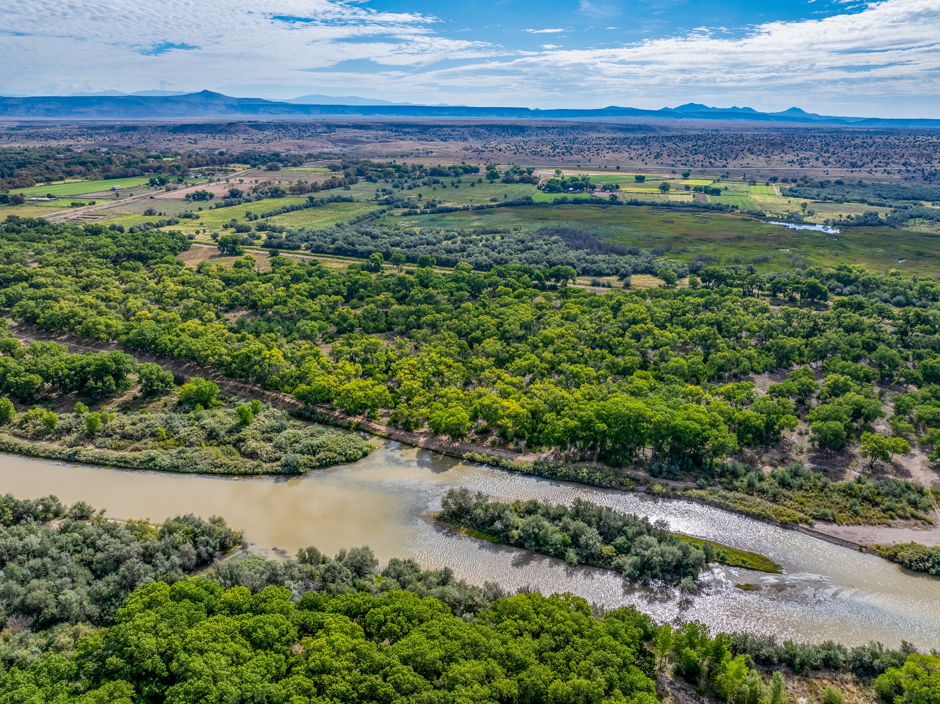 0012 Sparkling Moolah, Pena Blanca, New Mexico image 9