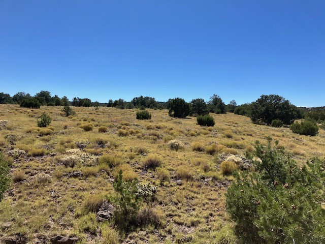 Lots 2 & 5 Red Hill West Subd., Quemado, New Mexico image 16