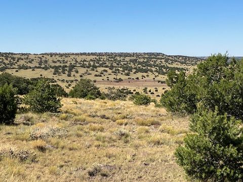 Vacant Land For Sale - LOTS 2&5 78.36 Acres<br/> Catron County, Quemado, NM 87829