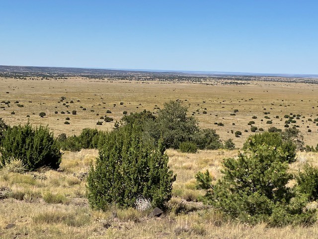 Lots 2 & 5 Red Hill West Subd., Quemado, New Mexico image 4