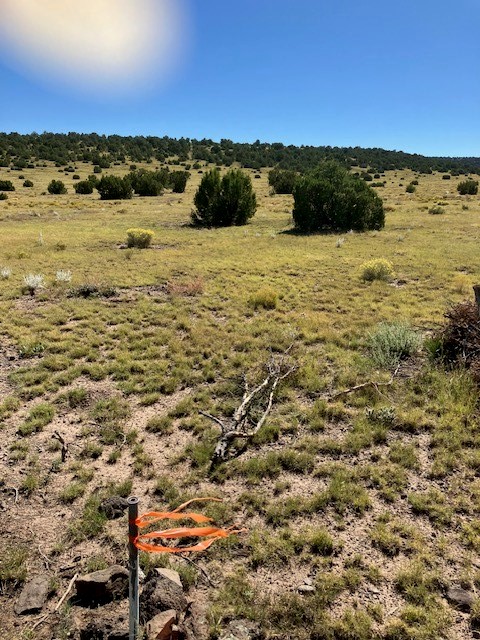 Lots 2 & 5 Red Hill West Subd., Quemado, New Mexico image 24