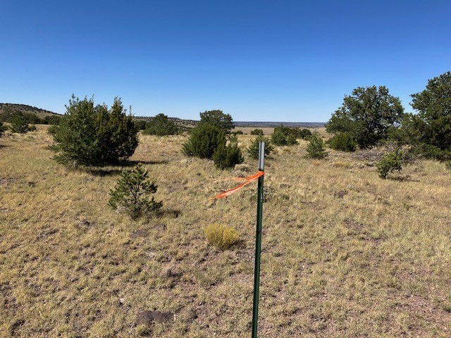 Lots 2 & 5 Red Hill West Subd., Quemado, New Mexico image 22