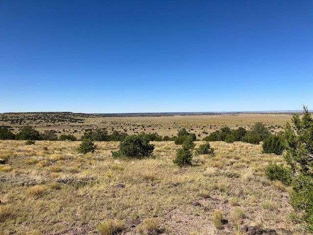 Lots 2 & 5 Red Hill West Subd., Quemado, New Mexico image 13