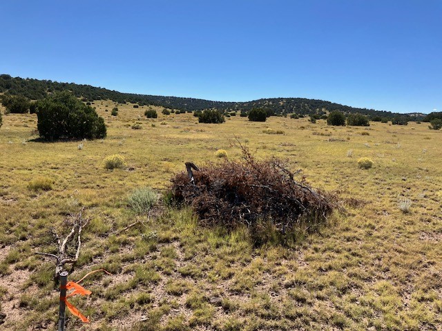 Lots 2 & 5 Red Hill West Subd., Quemado, New Mexico image 25