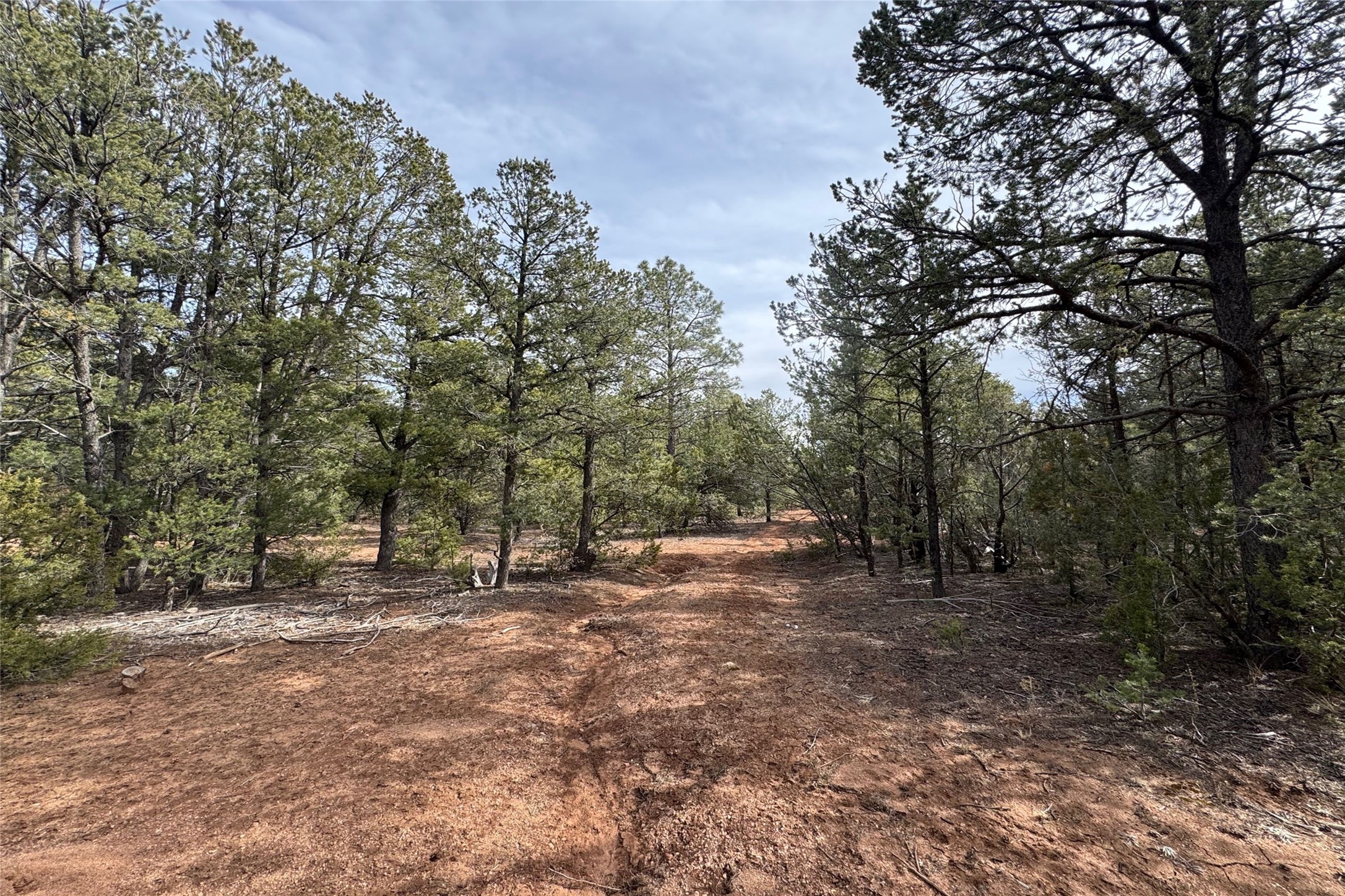 Jose Gonzales Road, Pecos, New Mexico image 9